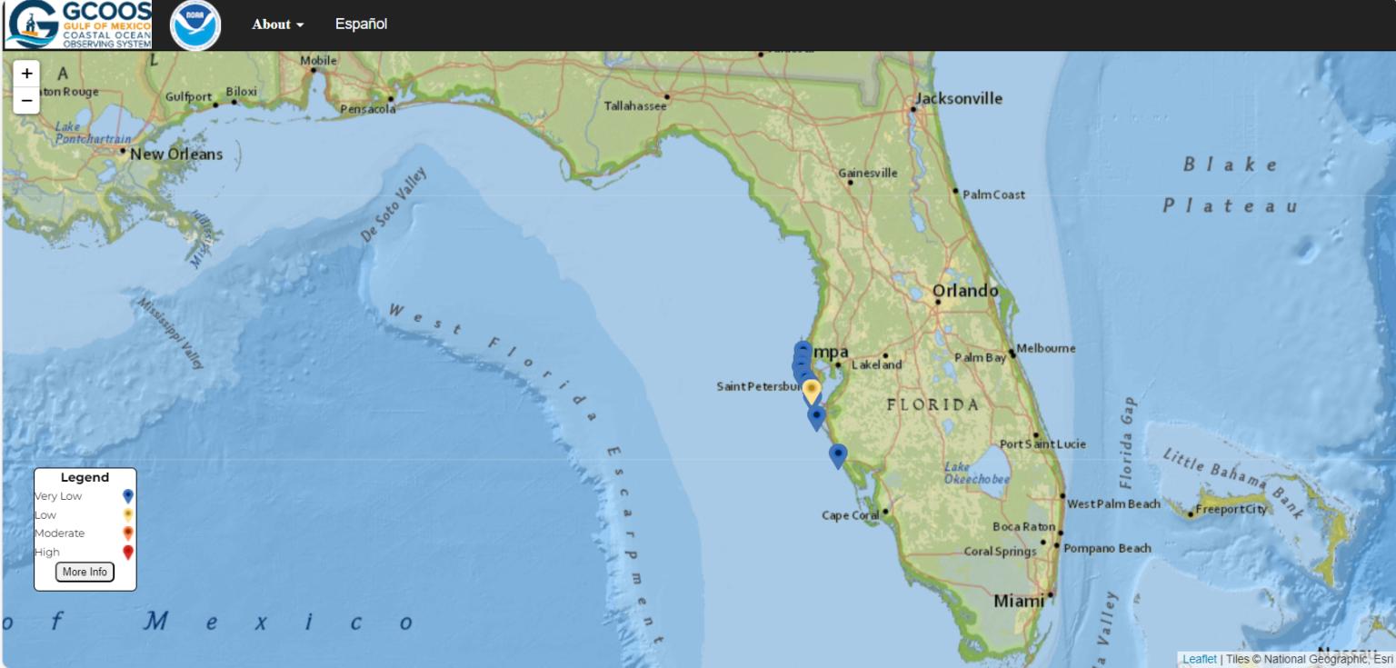 Map Shows Where Floridians Face ‘High Risk’ of Red Tide Irritation