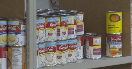 ‘Harsh reality’: Ontario food bank use reaches record highs