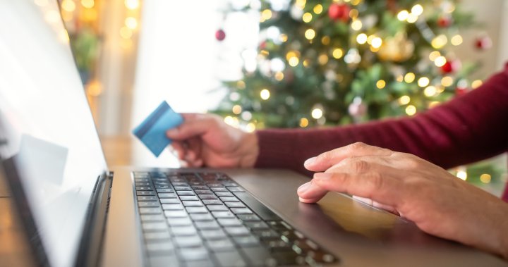 ‘Exponential’ rise in scams amid Canada Post strike, holiday shopping