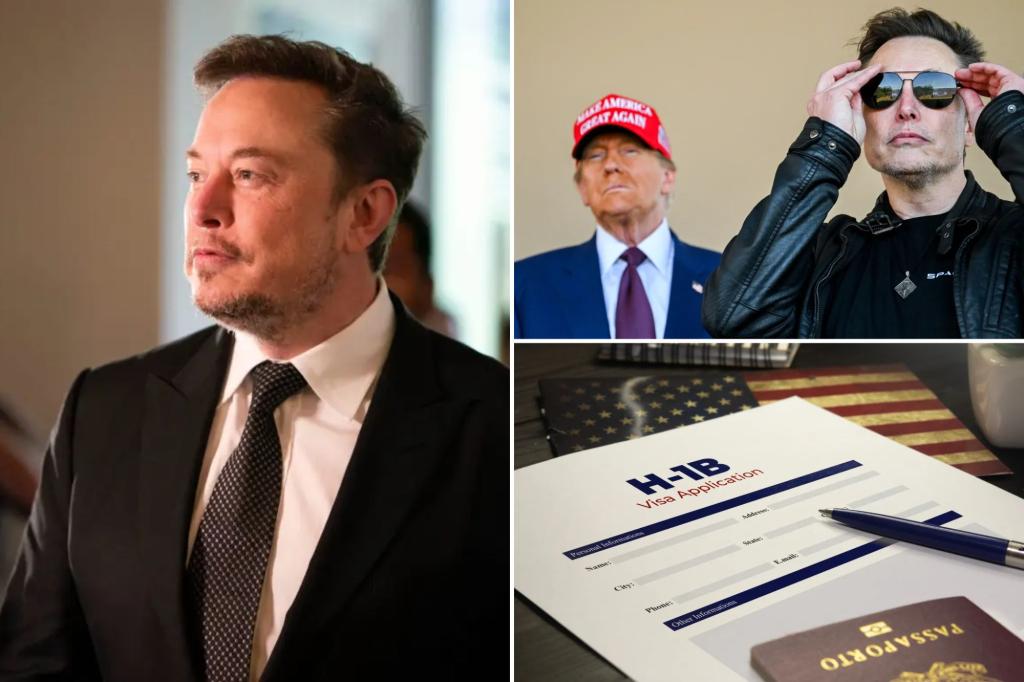 Exclusive | Trump supports immigration visas backed by Musk: ‘I have many H-1B visas on my properties’