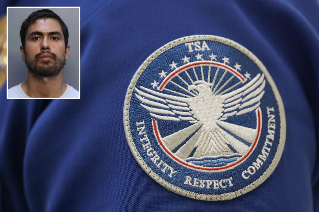 Canadian man accused of attacking travelers, TSA officers at Miami airport day after involvement in mid-flight disturbance: reports