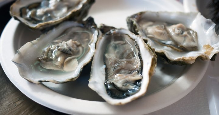 Oysters recalled in 3 Canadian provinces over norovirus concerns