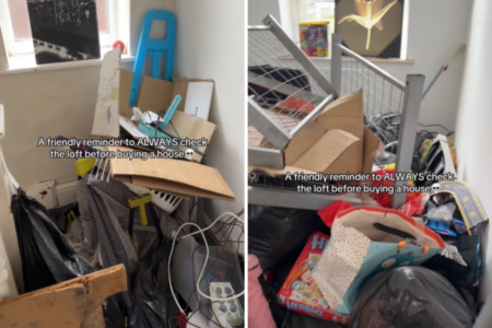 Couple Buys House, Unprepared for What They Find in the Attic