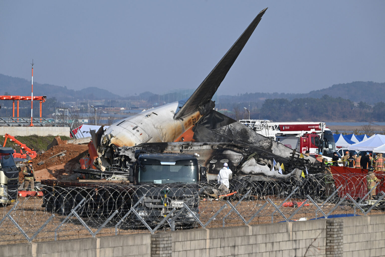 Did Bird Strike Cause South Korea Plane Crash? Experts Raise Questions