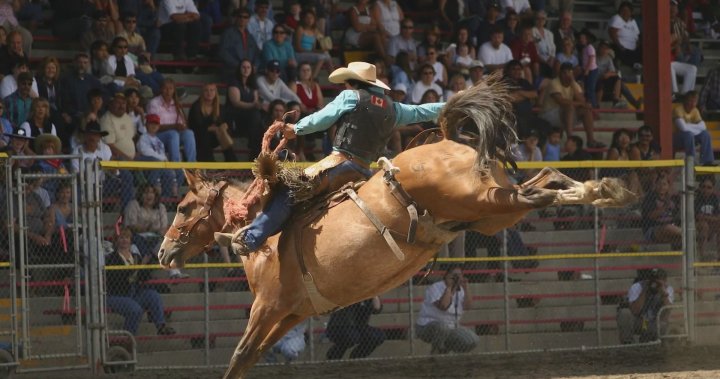 Meet the B.C. rider inducted into the National Cowgirl Hall of Fame