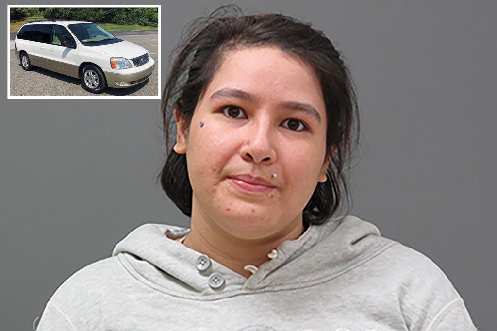 Car thief busted with help of dimwitted diary entry: ‘Totally stole a car today!’