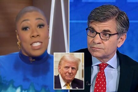 George Stephanopoulos’ comment that led ABC News to $15M lawsuit settlement with Trump ‘seems to hold up’: MSNBC host