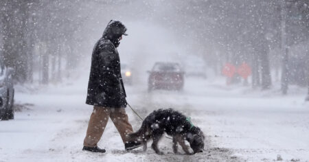 Winter Storm Brings Heavy Snow and Freezing Rain to the Mid-Atlantic