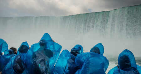 Opinion | What Will Trump Do With All That Power?