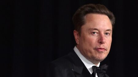 AfD chief pushes back on Nazi claims in chat with Elon Musk on X