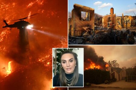 Actress Elizabeth Chambers says not enough was done by elected officials during LA fires: ‘Don’t think anybody was ready’