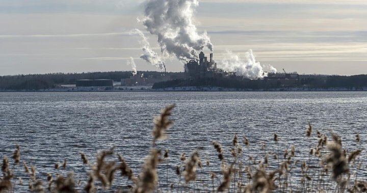 Nova Scotia cleanup plan further delays the removal of toxic sludge from First Nation