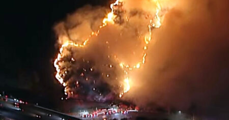 L.A. Crews Battle New Brush Fire Near Bel-Air