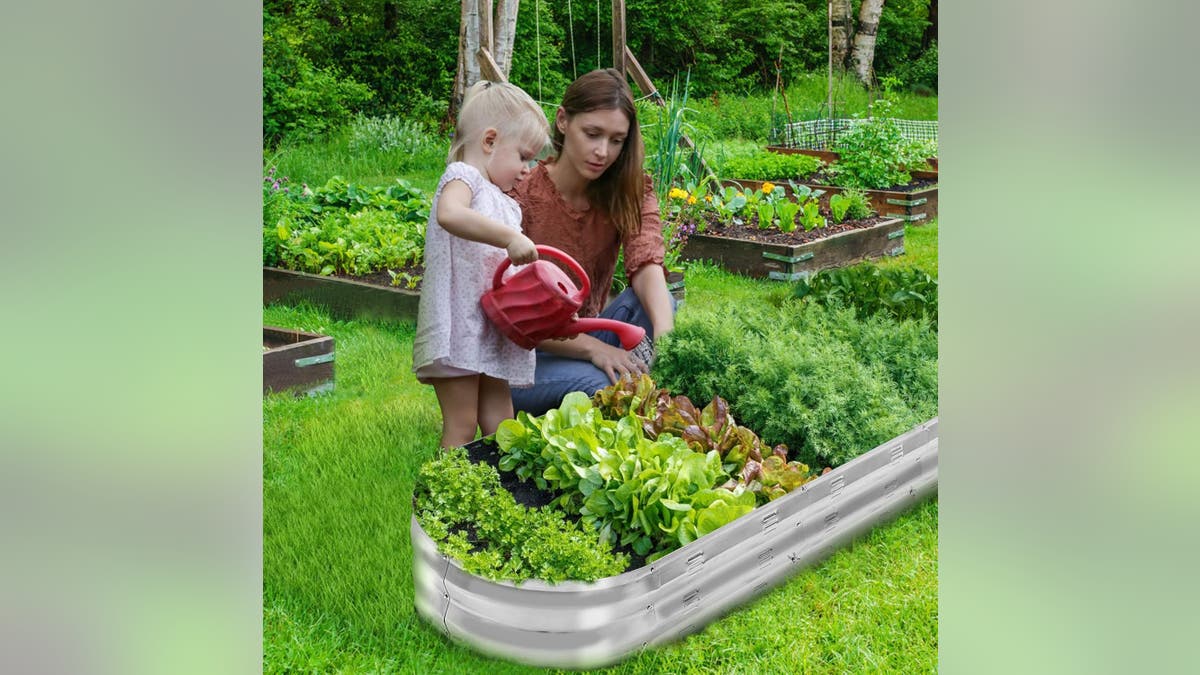 Start your own garden with this raised bed kit.