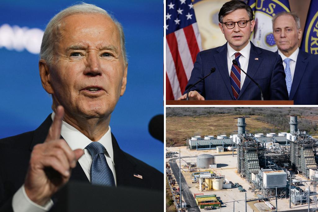 Biden insisted he didn’t sign executive order just weeks after doing so, Speaker Johnson reveals