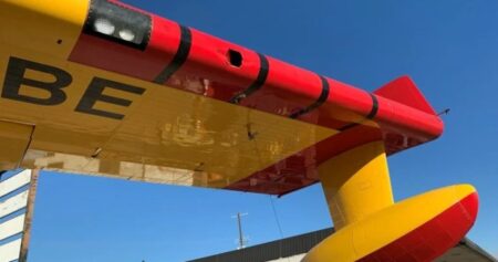 L.A. wildfires: Man pleads guilty to flying drone that hit Canadian plane