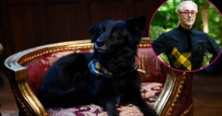 ‘The Traitors’ Host Alan Cumming’s Dog Lala Steals Style Spotlight in Season 3