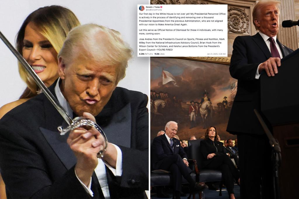 Trump announces purge of over 1,000 Biden appointees: ‘YOU’RE FIRED!’