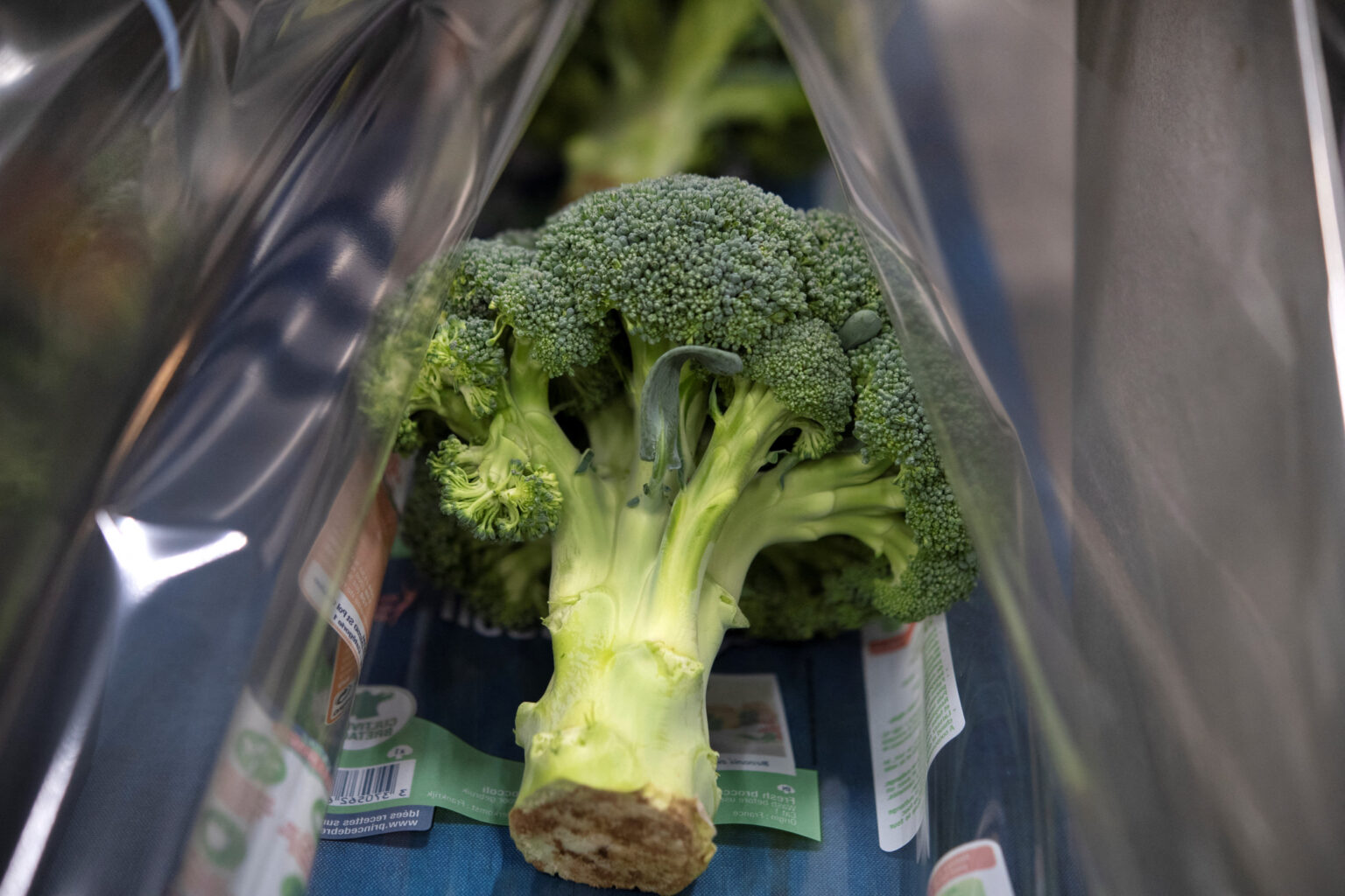Broccoli Recall Sparks Warning in 20 States