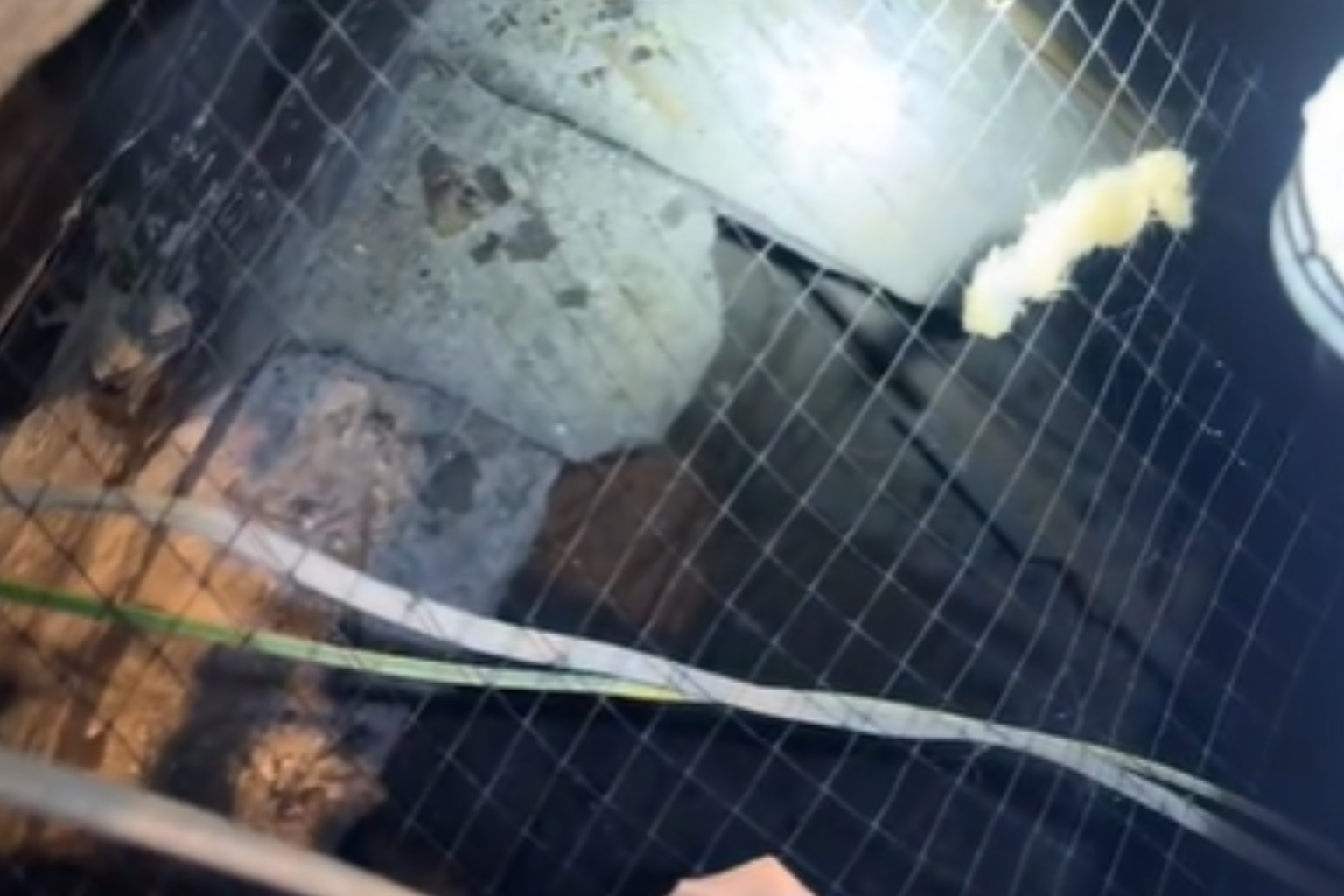 Incredible Find Hiding Under Bathtub Has Internet All Saying the Same Thing