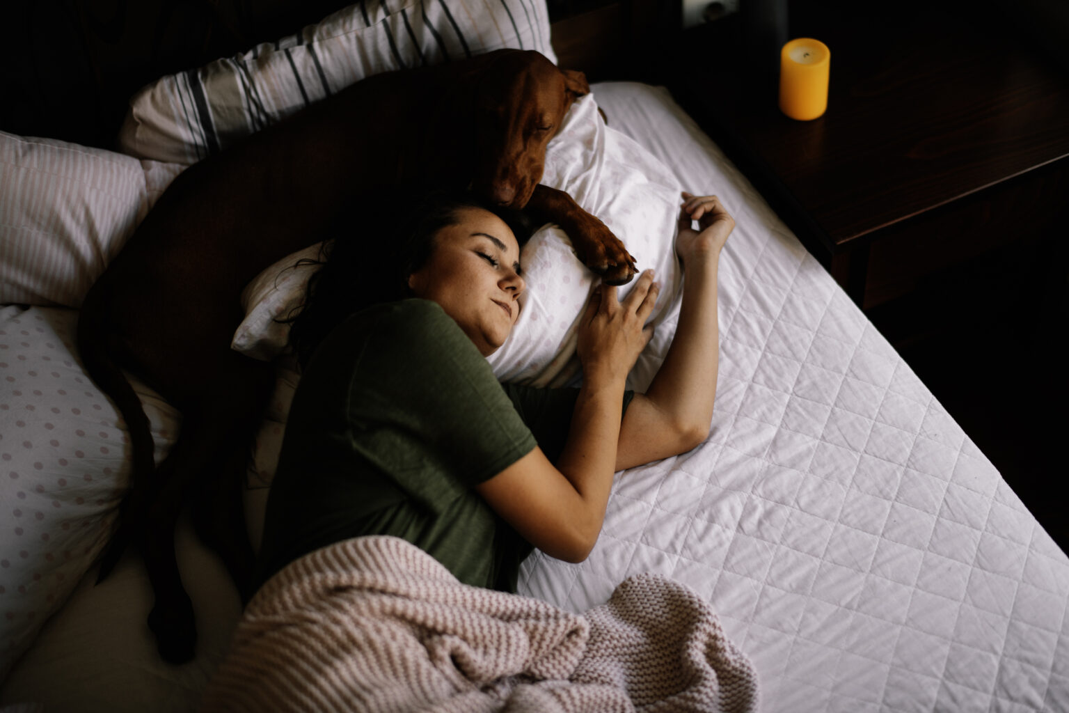 Dog Who Loves to ‘Bed Rot’ With Owner Delights Internet