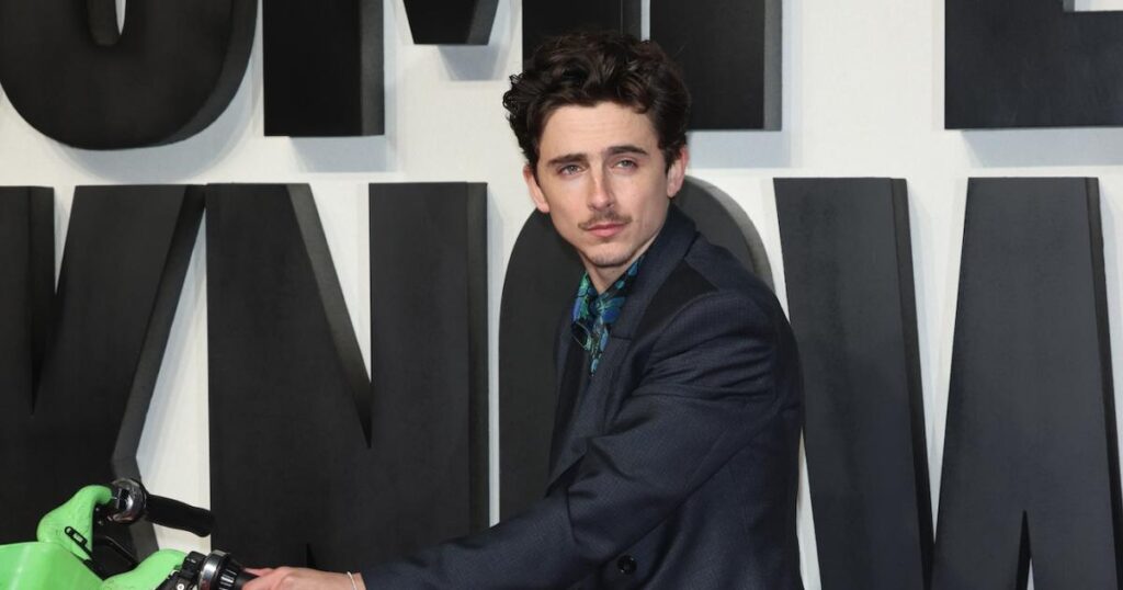 Timothee Chalamet Was Fined $79 After Riding a Bike to London Premiere of ‘A Complete Unknown’