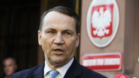 Poland pitches rearmament bank to boost Europe's defence spending