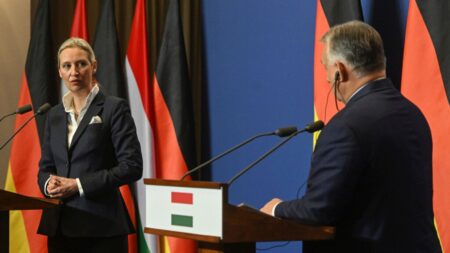 AfD chief and Hungary's Orbán bond over migration in Budapest