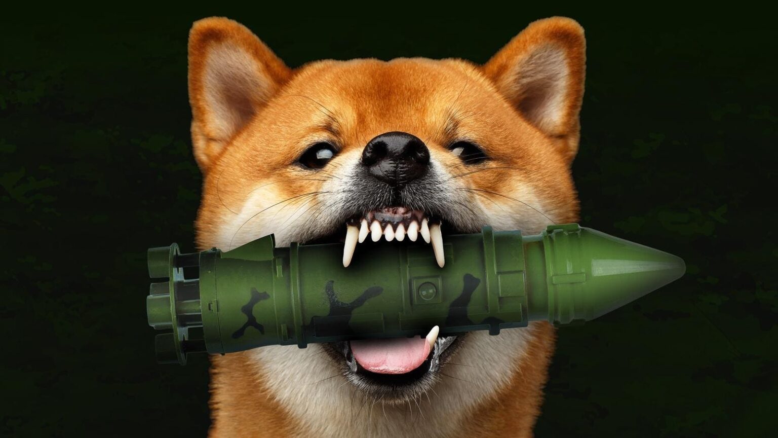 A Mad Scramble Inside The Pentagon Ahead Of DOGE’s Arrival