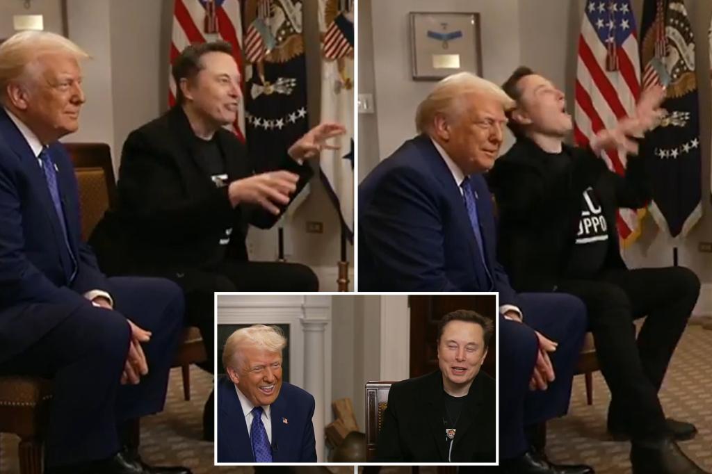 Elon Musk compares ‘Trump Derangement Syndrome’ to rabies in sit-down with president: ‘I used to be adored by the left’