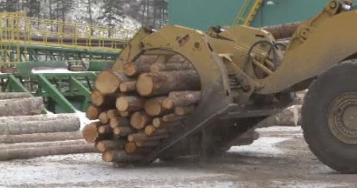 B.C. forest sector could face devastating blow if tariff threat goes through
