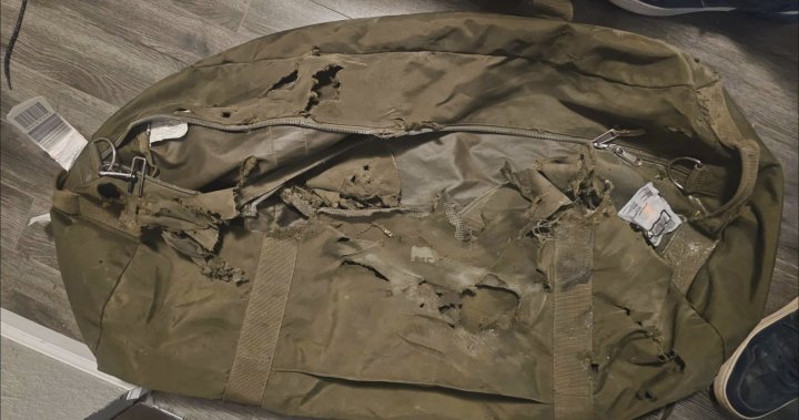 Air Canada passenger demands answers after luggage was returned late, damaged