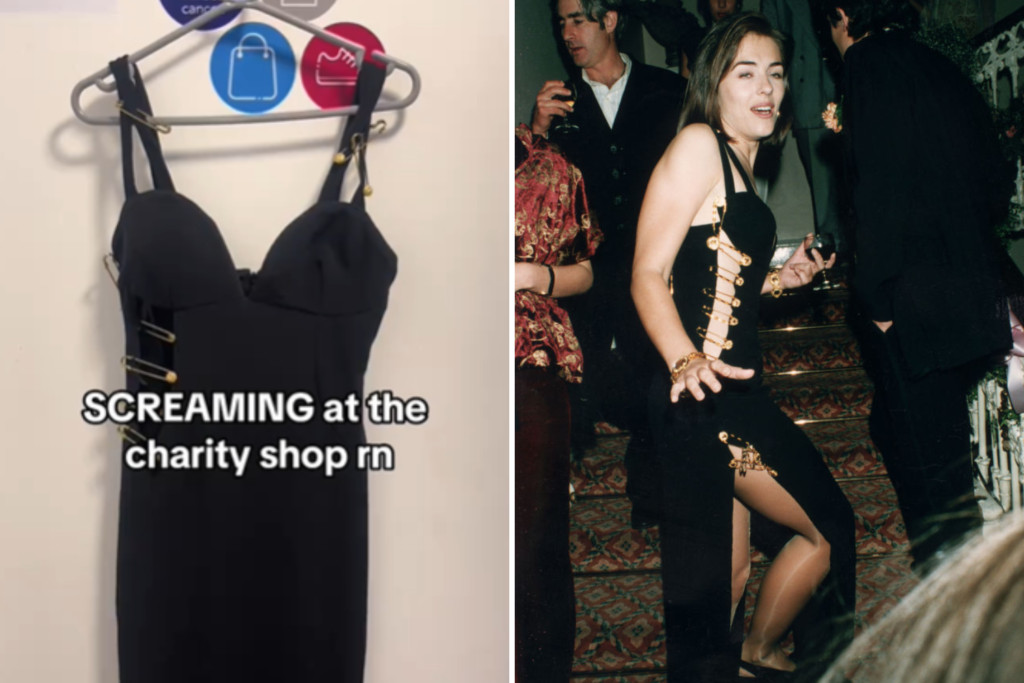Woman Left ‘Screaming’ Over Iconic 90s Find in Thrift Store for $6