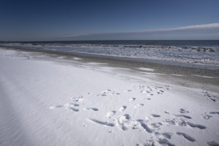 Video Shows Snow-Covered Beach Amid ‘Rare’ Snowfall
