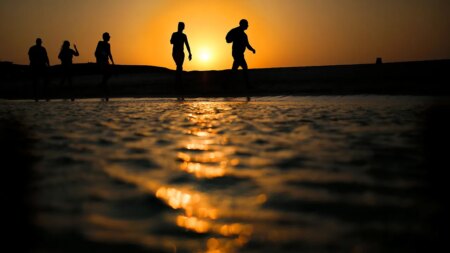 6 dead after tourist submarine sinks off Egypt's coast: officials