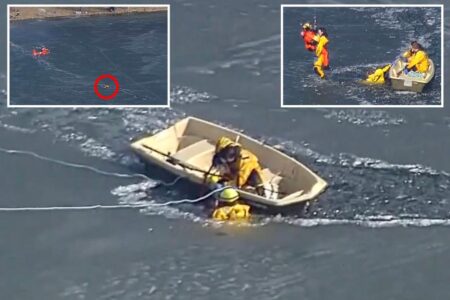 Man who fell through ice on Michigan lake dies after daring rescue