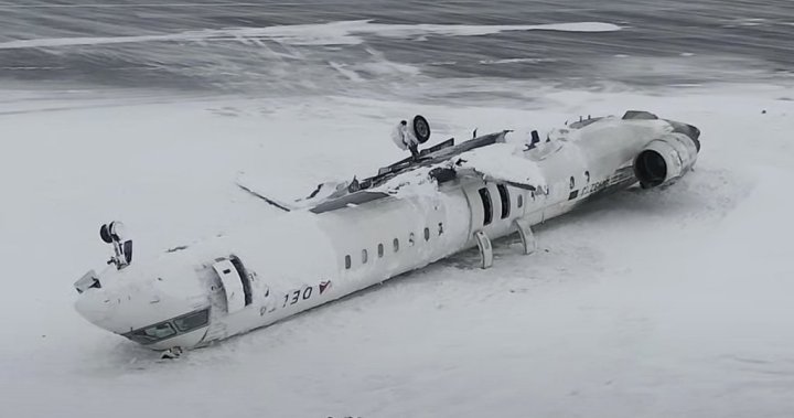 Toronto plane crash: Investigators set to release preliminary report