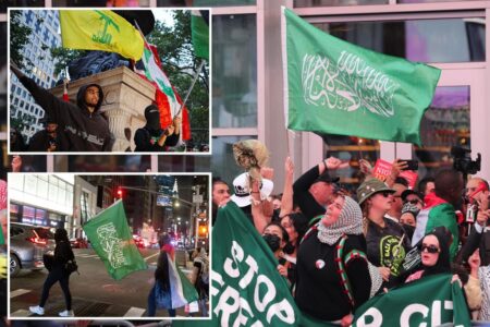 Exclusive | Anti-Israel protesters with terror group flags could land 4 years behind bars under new NY state bill