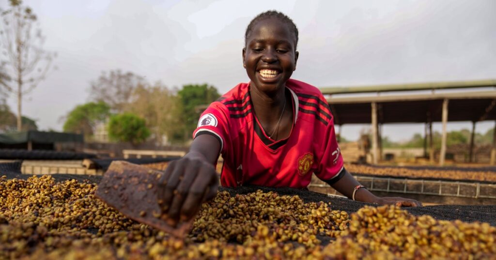Photos: South Sudan farmers pin hopes on rare climate-resistant coffee
