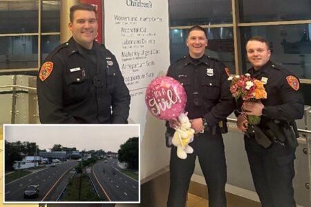 Suffolk County police help deliver baby girl after woman goes into labor on side of the highway
