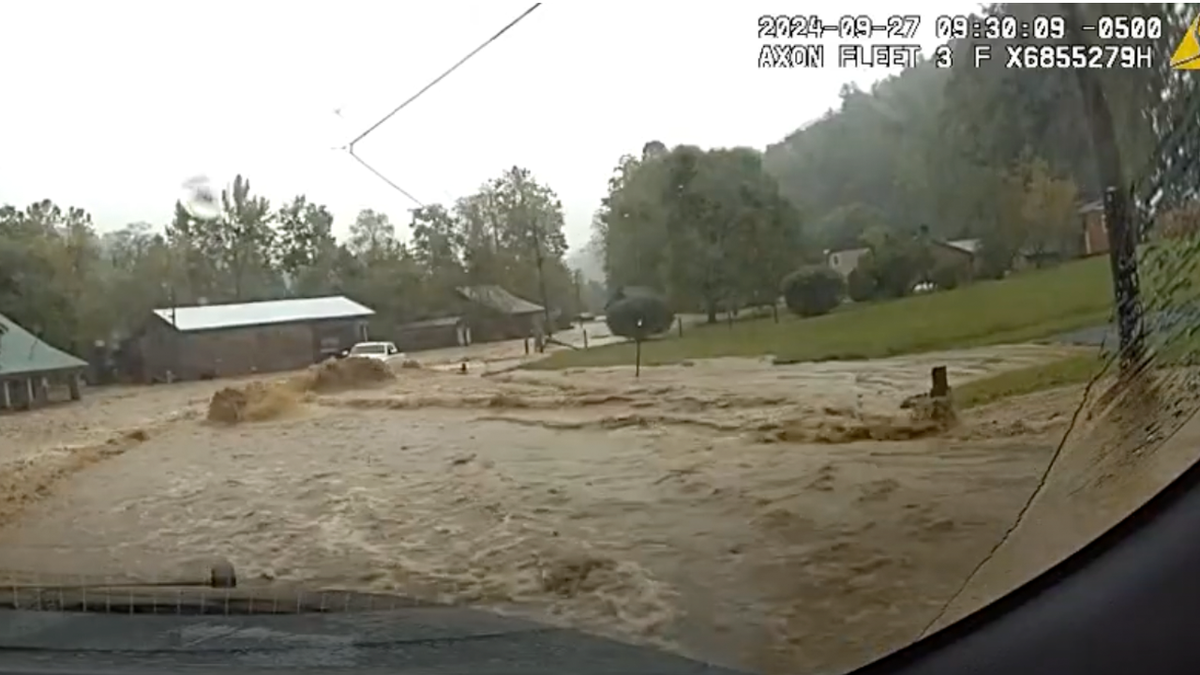 Hurricane Helene rescue