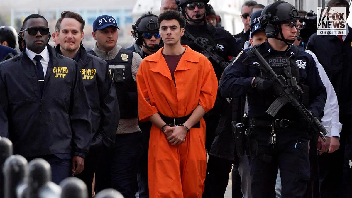 Luigi Mangione is escorted by NYPD into a van after being extradited from Pennsylvania for the murder of United Healthcare CEO, Brian Thompson.
