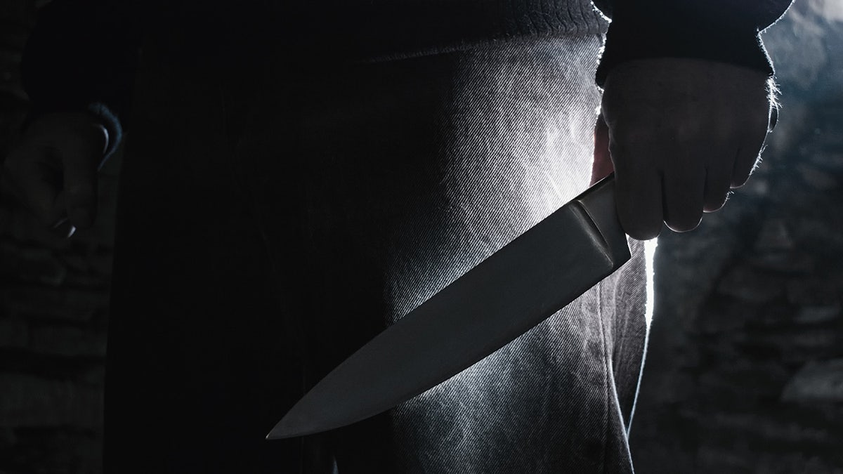 A person carries a large kitchen knife