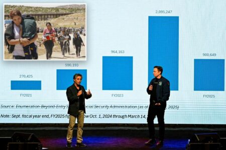 Musk shares ‘mind blowing’ chart showing millions of ‘noncitizens’ given Social Security numbers under Biden