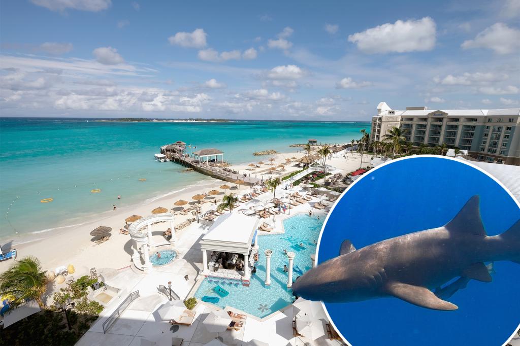 Travel warning issued for Bahamas over crime concerns, sharks