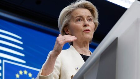 EU preparing 'further countermeasures' to US tariffs: Von der Leyen