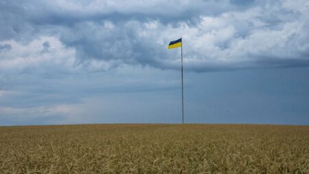 EU-Ukraine trade talks enter crucial phase on agriculture