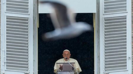 Who are the possible contenders to replace Pope Francis?
