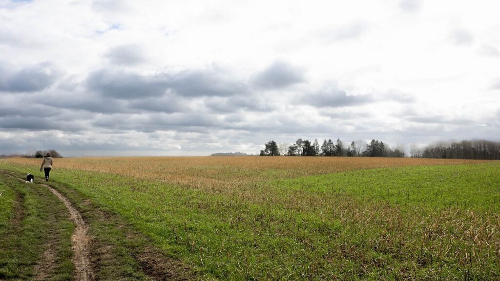 EU agrees to restore soils to health, but no binding targets