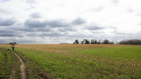 EU agrees to restore soils to health, but no binding targets